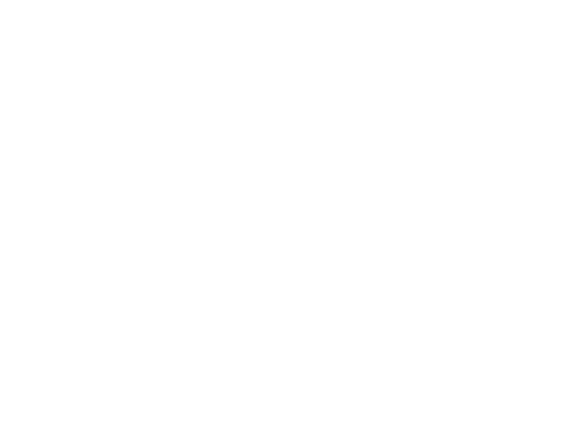 Neu's Hardware Tools Paint